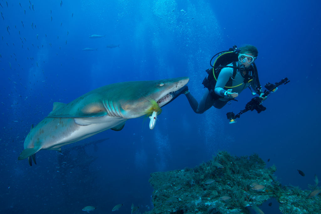 672b02bb-3d0b-4934-a740-581ede3e20e7