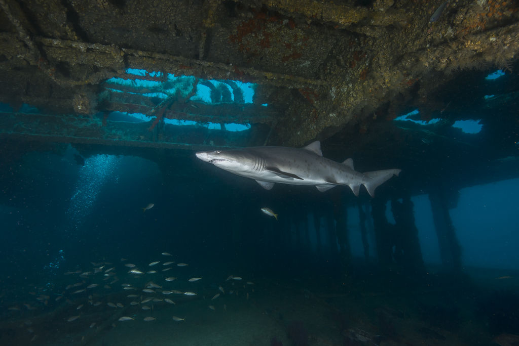 60f2a475-f29f-4a23-afdf-b045bbaf70e0