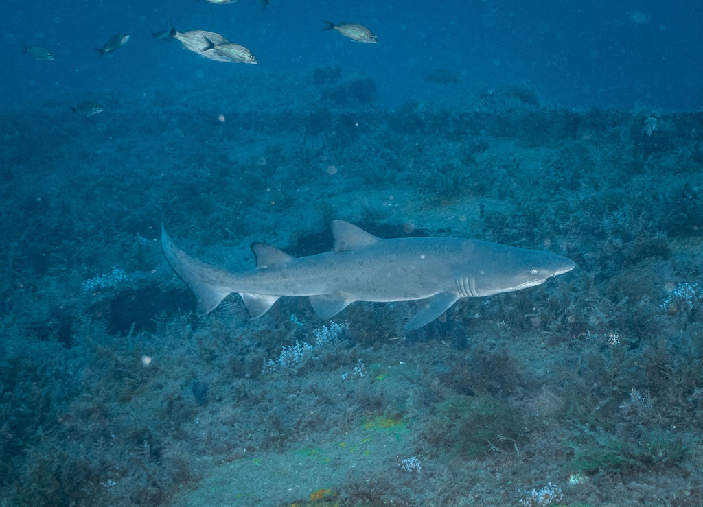 8dd13010-3490-4991-ad73-1b5441d17544