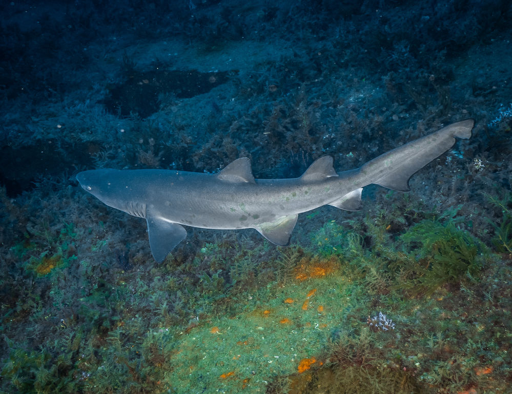 8dd13010-3490-4991-ad73-1b5441d17544