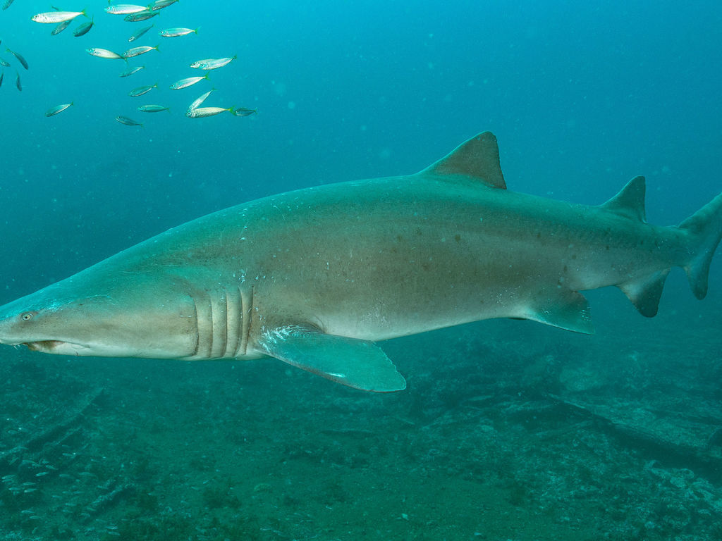 ceafb660-ddfc-48ae-a016-6caaa1814d58