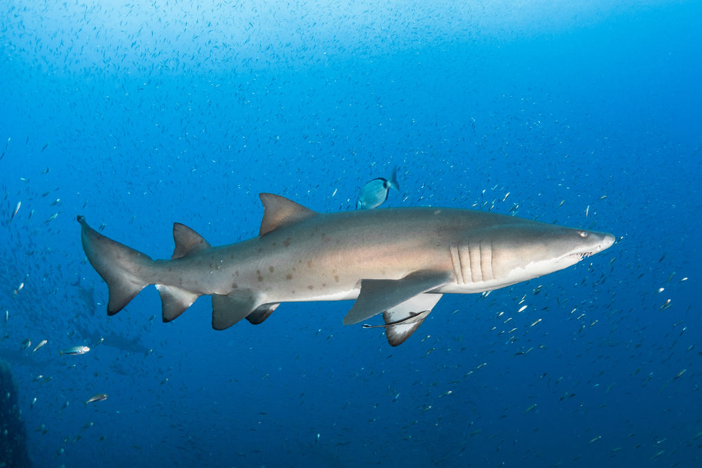 8aafe040-bad9-4b07-a380-b16c34ab1f59