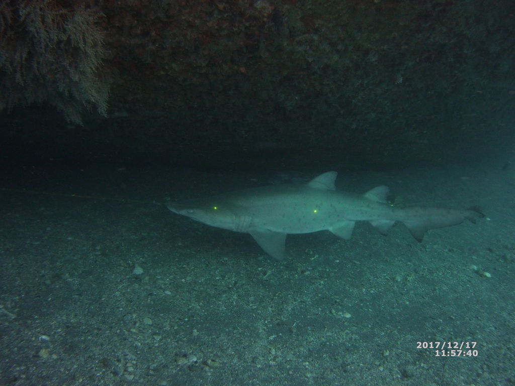 3461f6d4-0c6c-4898-8c87-3dd68632c0dd