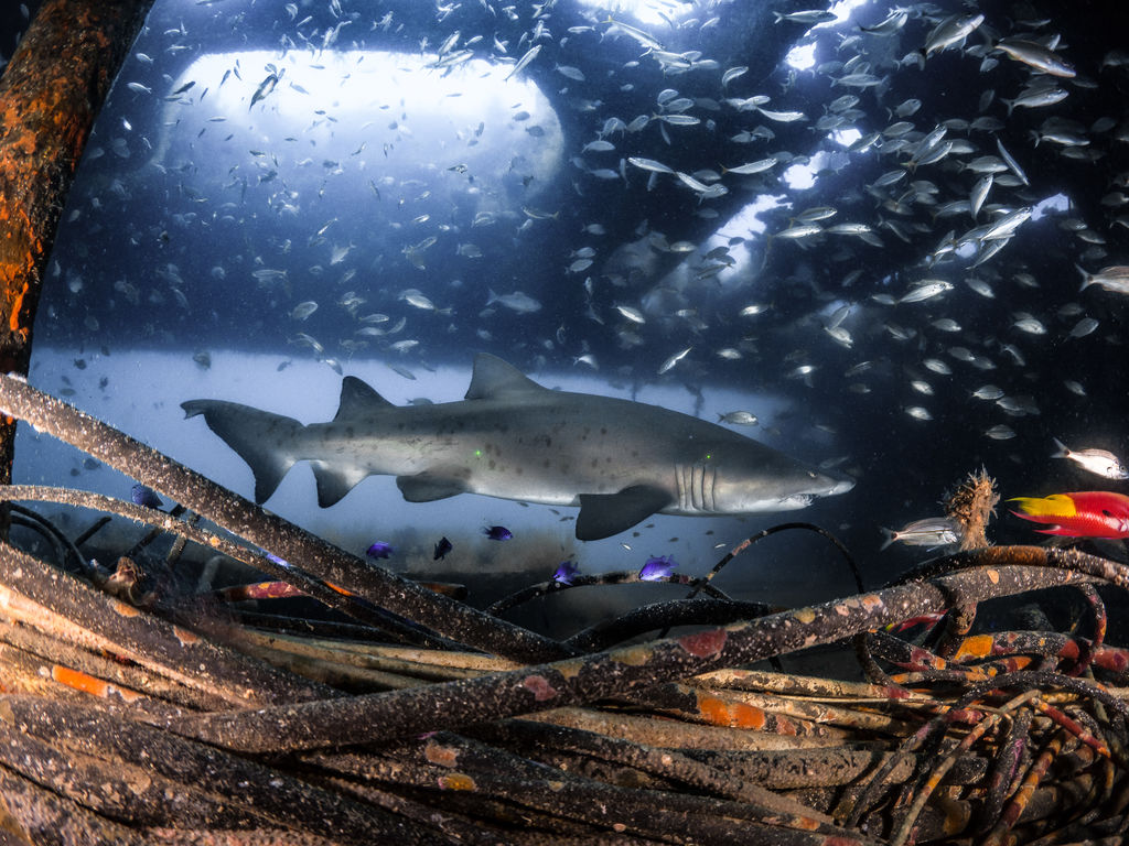 cd1be1a2-f428-49e1-b320-030a5e2375cd