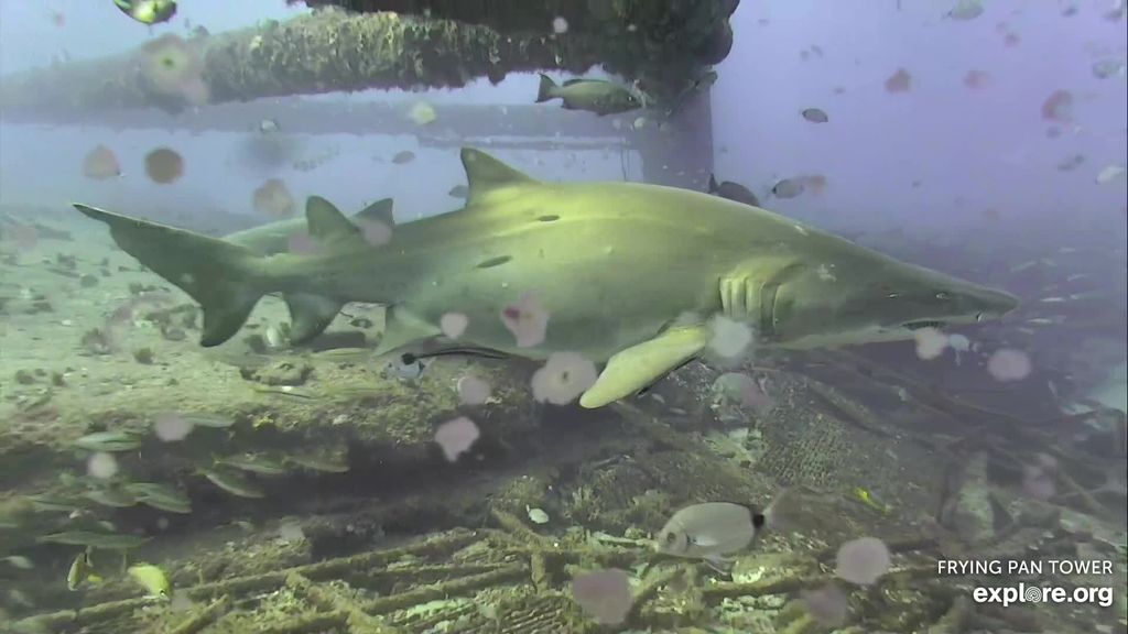 00fab9eb-e11c-4088-807c-cdd517a3d669