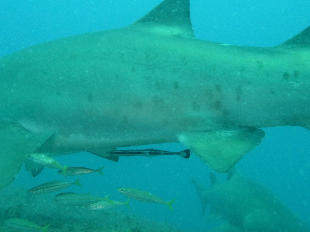 a191e18c-d454-4fc8-87de-37667b8c7c8f