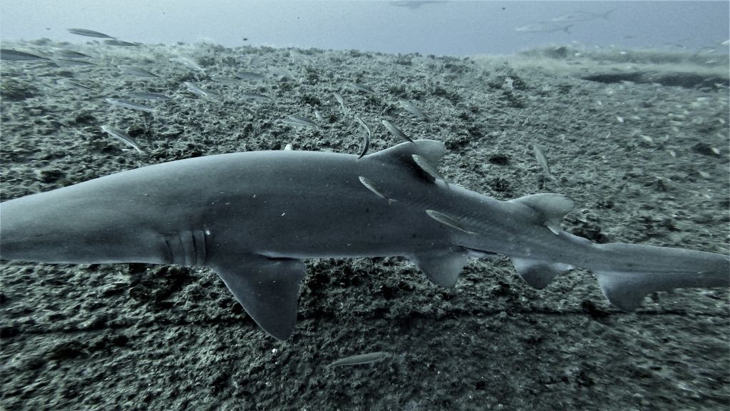 116aeeb4-32ff-4812-aaf6-f45ba8ffdf76