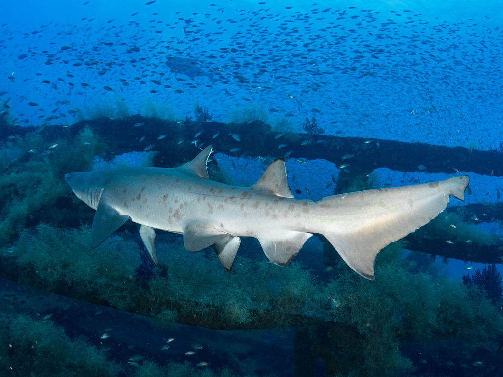 806897f1-b51b-4378-9ad6-4be295f60887