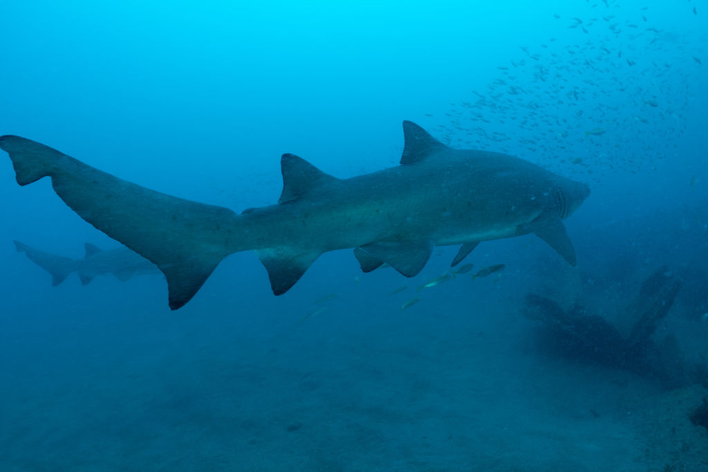 0dc98d1e-2bdd-425a-99c3-42dd6aeba730