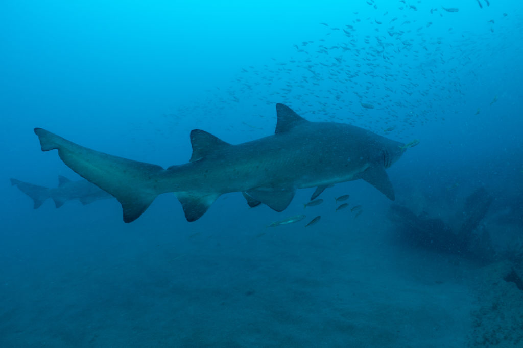 0dc98d1e-2bdd-425a-99c3-42dd6aeba730