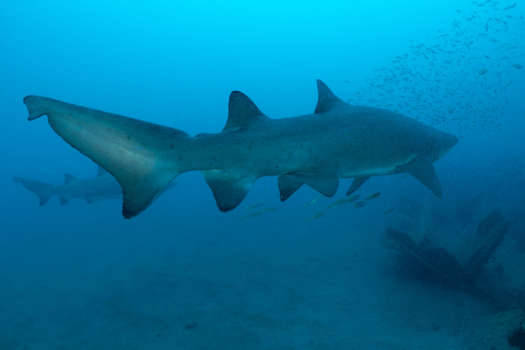 0dc98d1e-2bdd-425a-99c3-42dd6aeba730