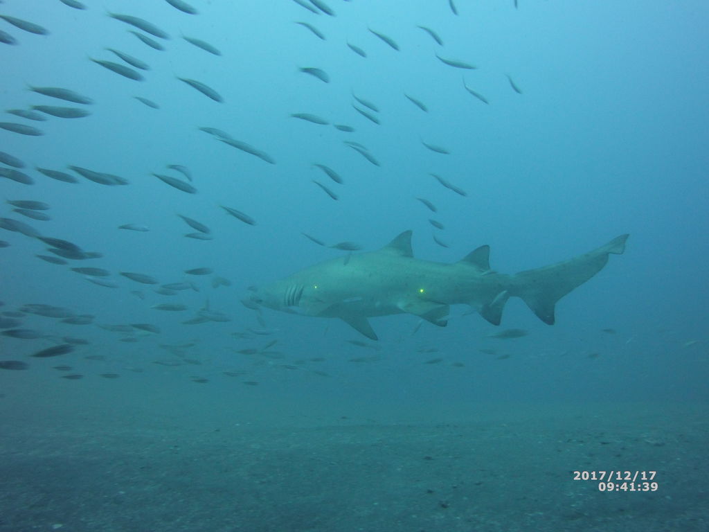 8b202e60-6501-45da-9129-df5f0b9637bf