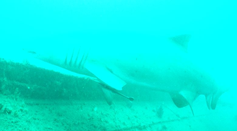 356f48fc-21eb-4e6e-b738-c570ac76b69f