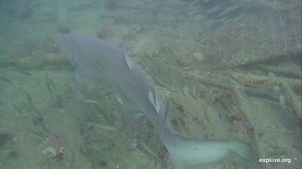 912760f7-46b6-4f31-8baa-97bc97442be6