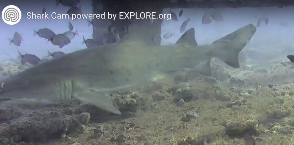 d78adbbe-08d7-47fc-b6ee-b9a6372f545a