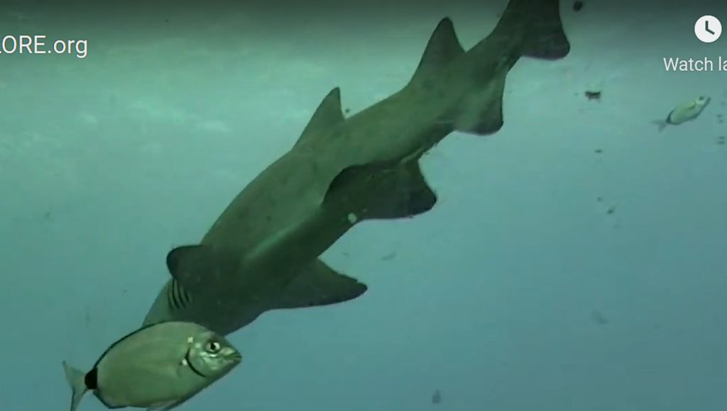 d78adbbe-08d7-47fc-b6ee-b9a6372f545a