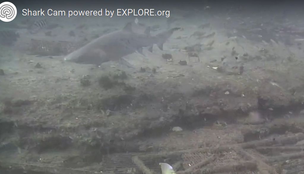 194922b8-7377-4399-a7d5-01d0ab532f73