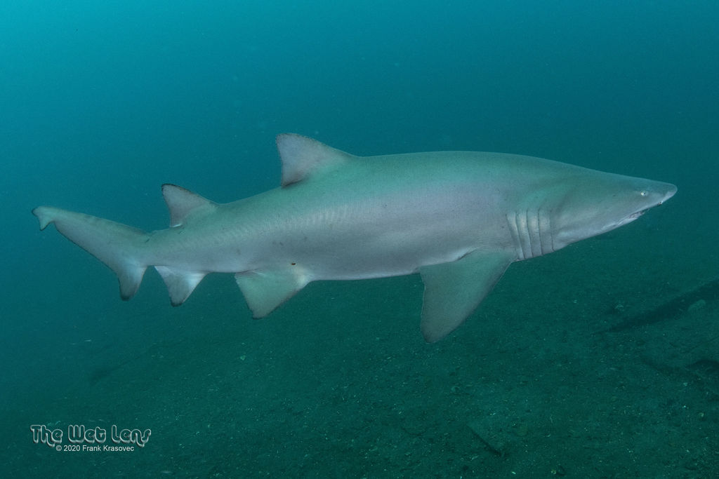 b2c8e56e-b74a-4c6a-a66d-4a3dd82f3c7c