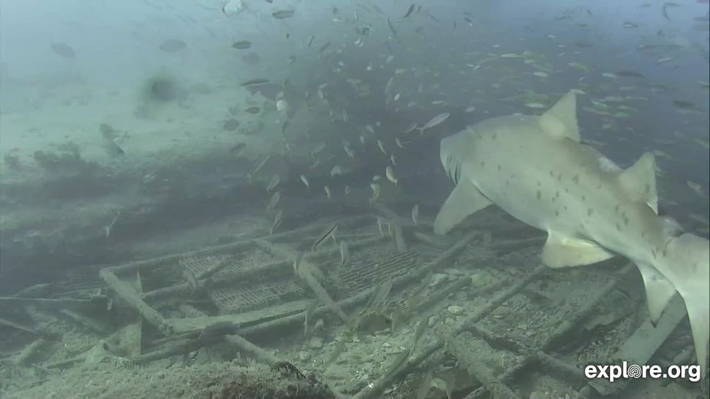 9b72d599-a594-497a-9324-b85d884158fa