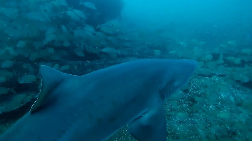 b93281f2-e11f-4ad7-89b2-edfc1023dd15