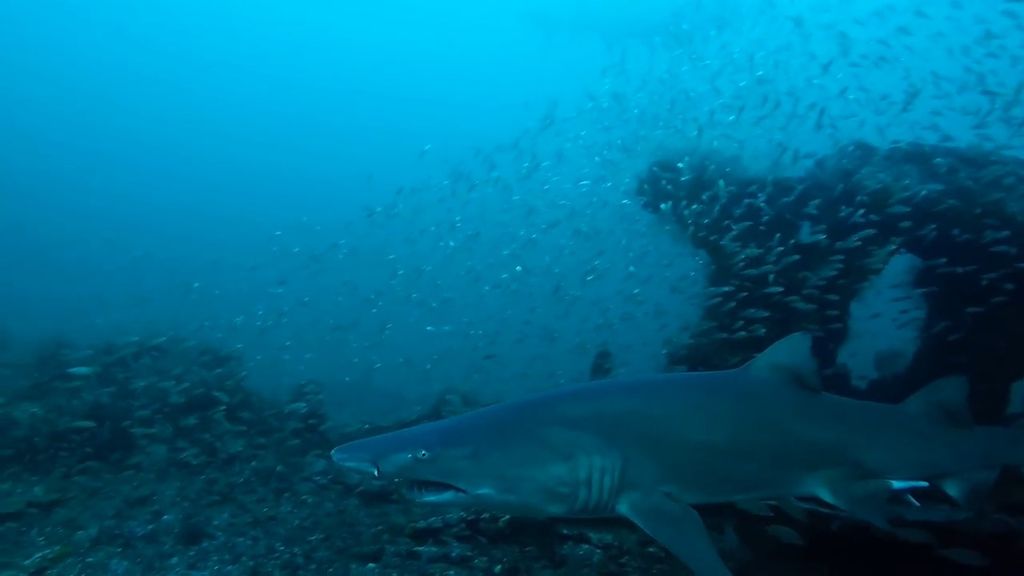 b93281f2-e11f-4ad7-89b2-edfc1023dd15