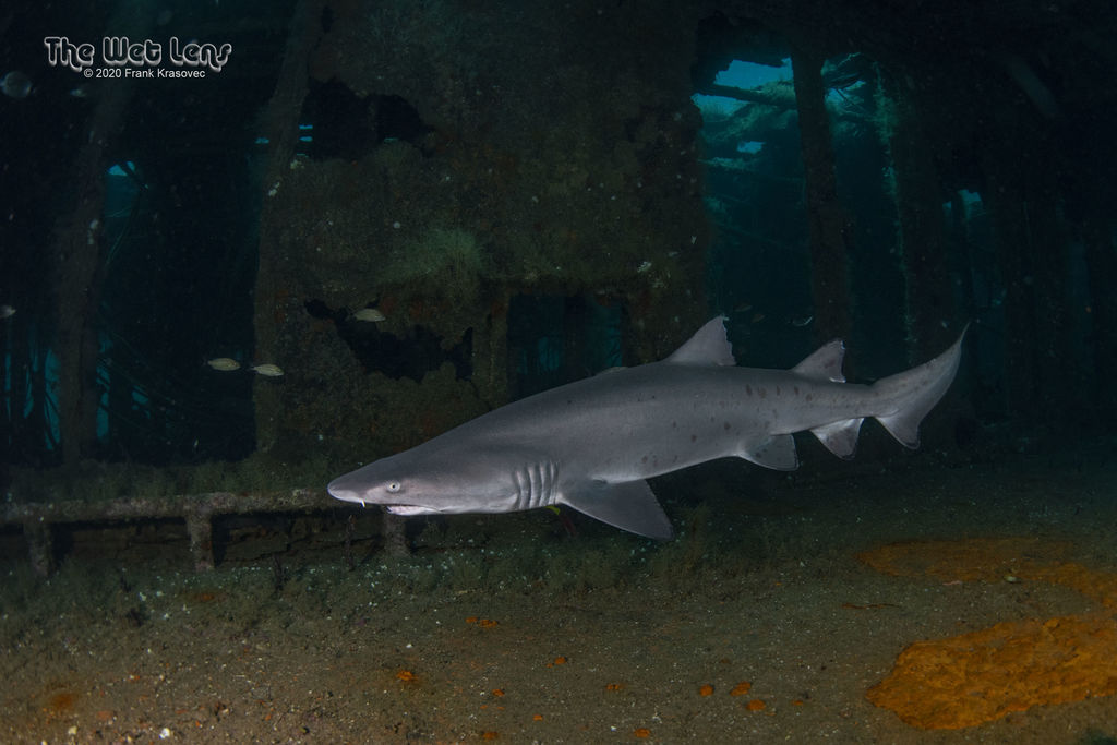 0c37c41f-82af-4b48-89da-54df25eac870