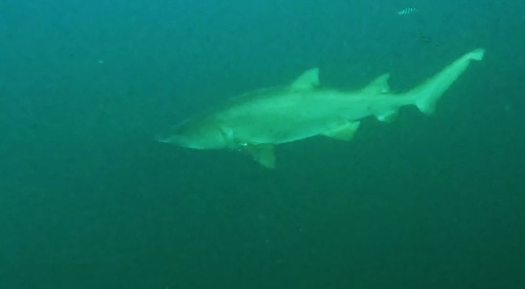 27006890-01ee-448d-8964-b1a9e8502bc5