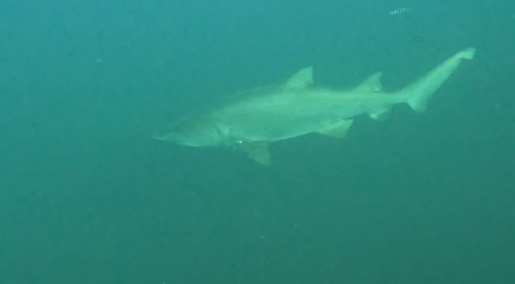 27006890-01ee-448d-8964-b1a9e8502bc5