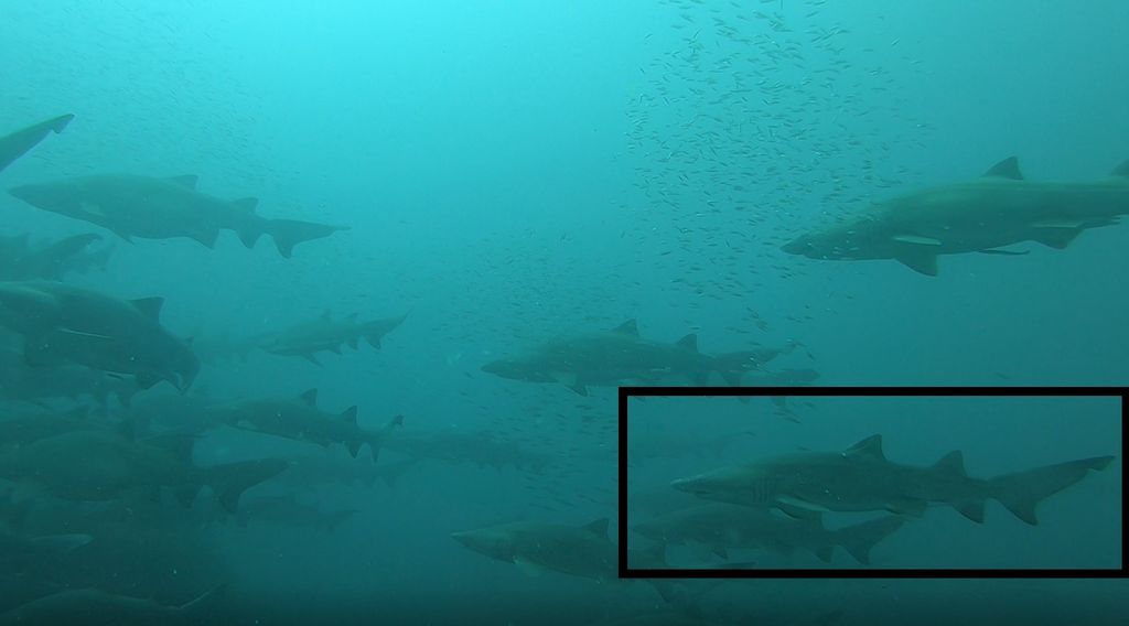 1bc14449-614e-4e99-ab54-d3a32c850cd3