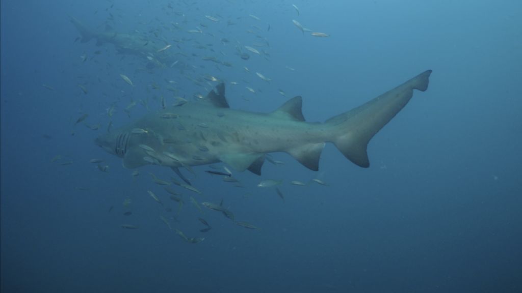 ce91a0b4-2111-4e9c-a449-153472922caa