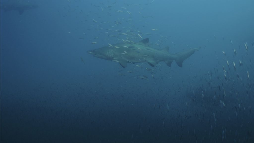 ce91a0b4-2111-4e9c-a449-153472922caa