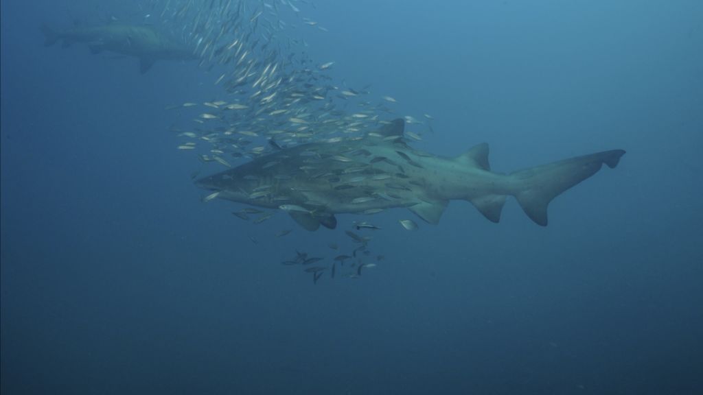 ce91a0b4-2111-4e9c-a449-153472922caa