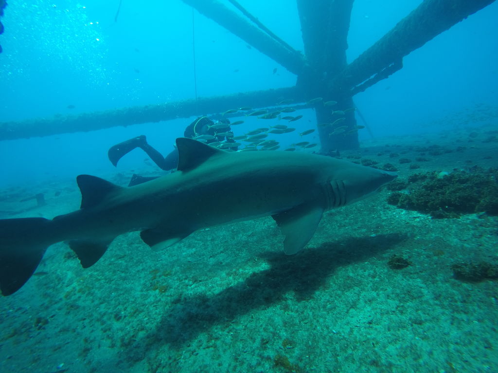 d21cb25a-6192-40a1-83f3-ff5bac69aaf5