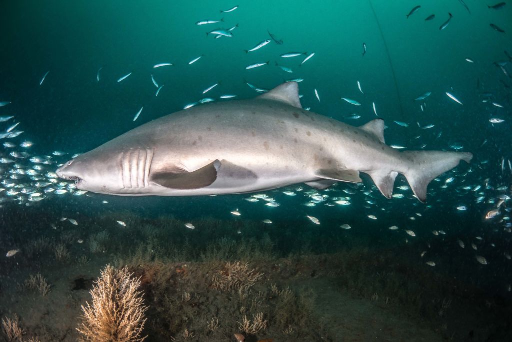 827bc952-1d93-4fd2-8c61-d56333b6af50