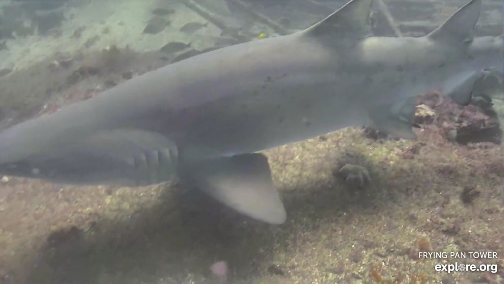 e402b7da-723d-494c-93ea-ecbf7d591e79