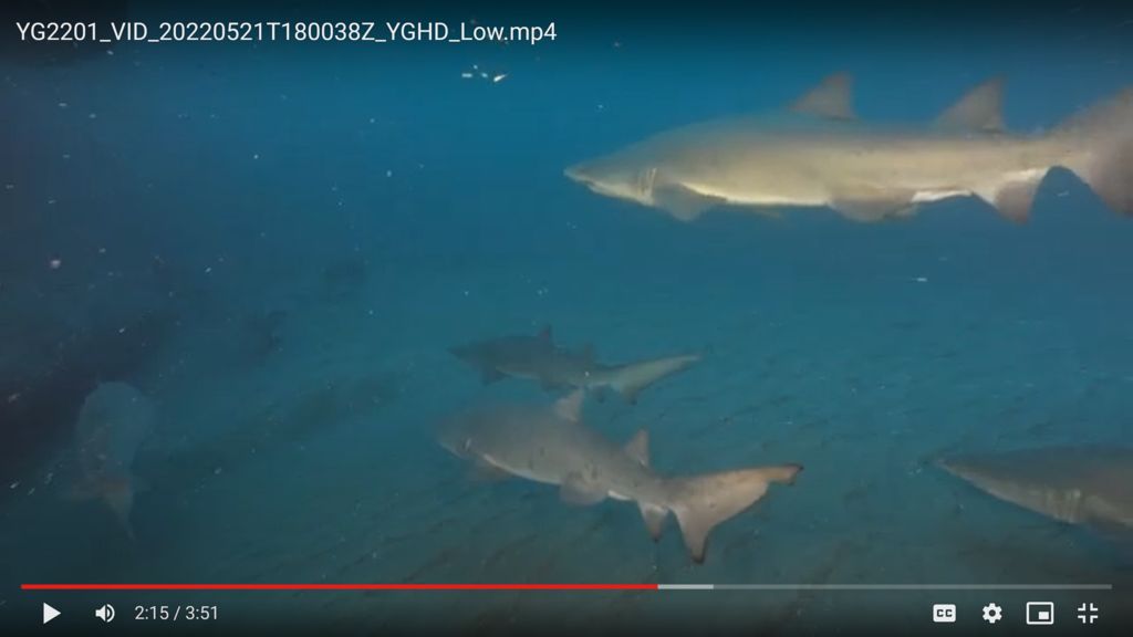 2b92e97b-ac06-4a57-9d45-8023b8d39101