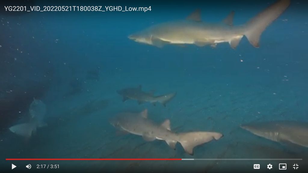 2b92e97b-ac06-4a57-9d45-8023b8d39101