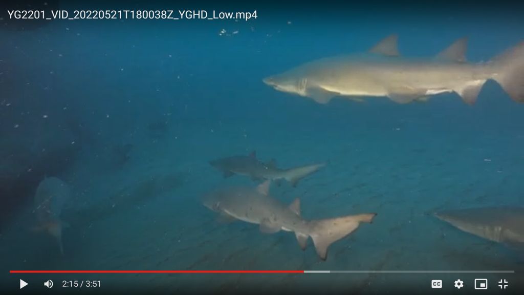 2b92e97b-ac06-4a57-9d45-8023b8d39101