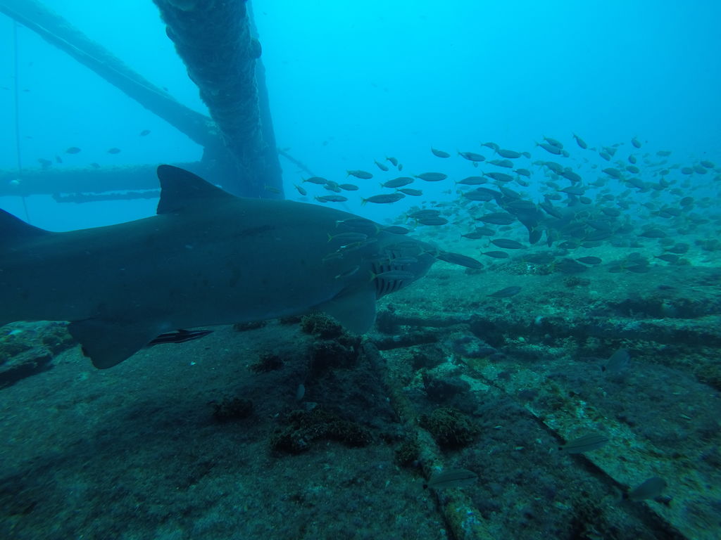 3b34b7d0-ba95-438a-875c-38d45ef61f80