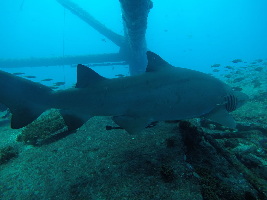 3b34b7d0-ba95-438a-875c-38d45ef61f80