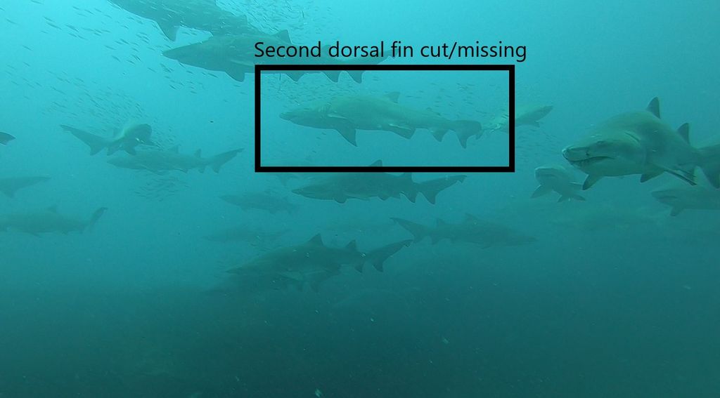 88621704-e015-4685-b97b-3a990acbb01e