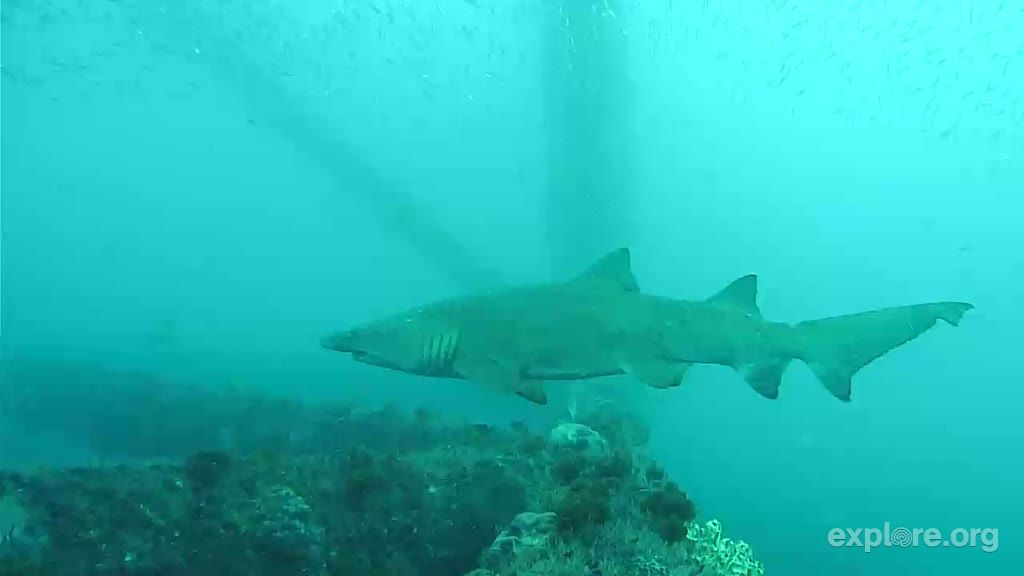 4e60e22e-1371-4025-803e-8c95872a0e79