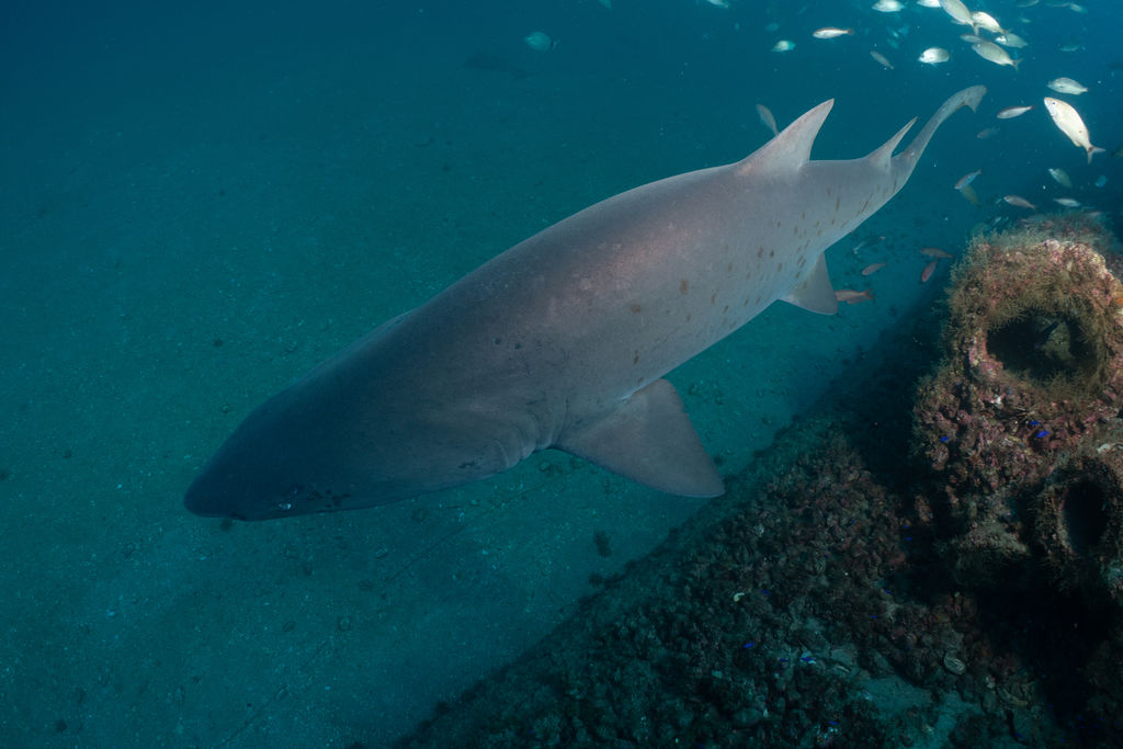 759beba8-6d98-4528-b9e2-20600f648bc0