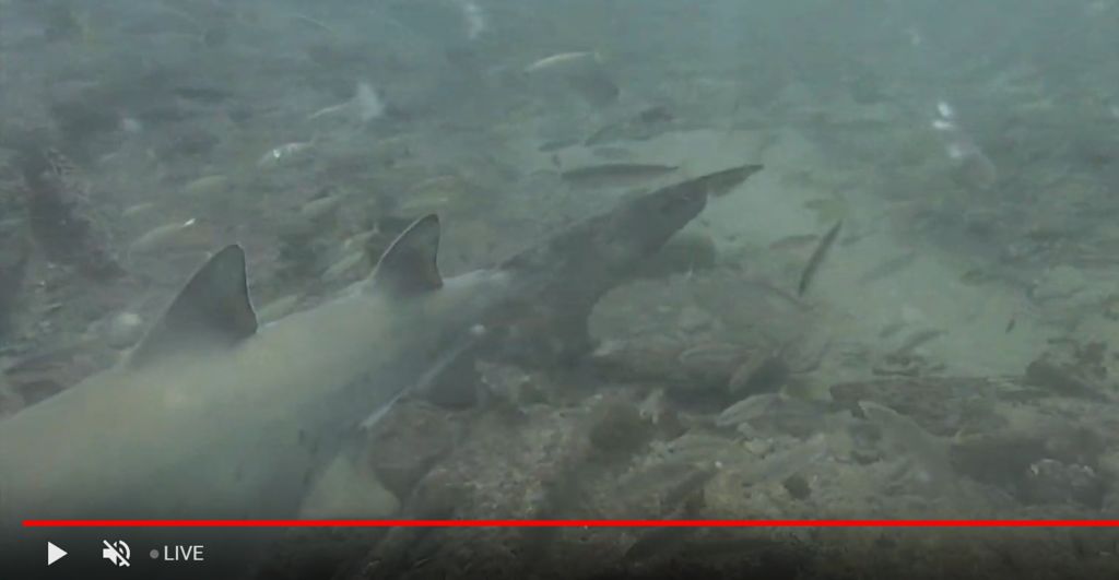 5ab716ac-a564-43d3-ab6f-b4b34de87834