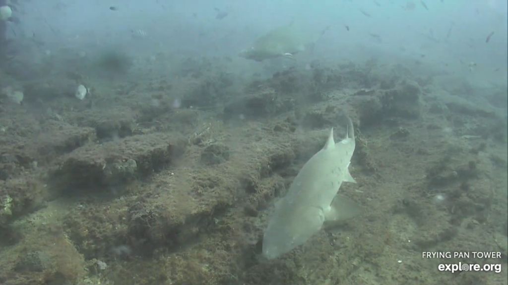 ab9bce05-63fd-449e-8007-874adced34e8