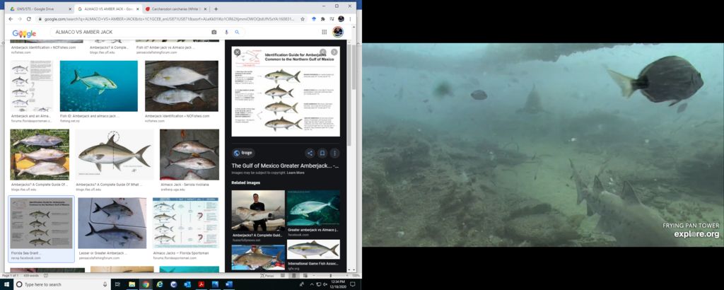 ab9bce05-63fd-449e-8007-874adced34e8