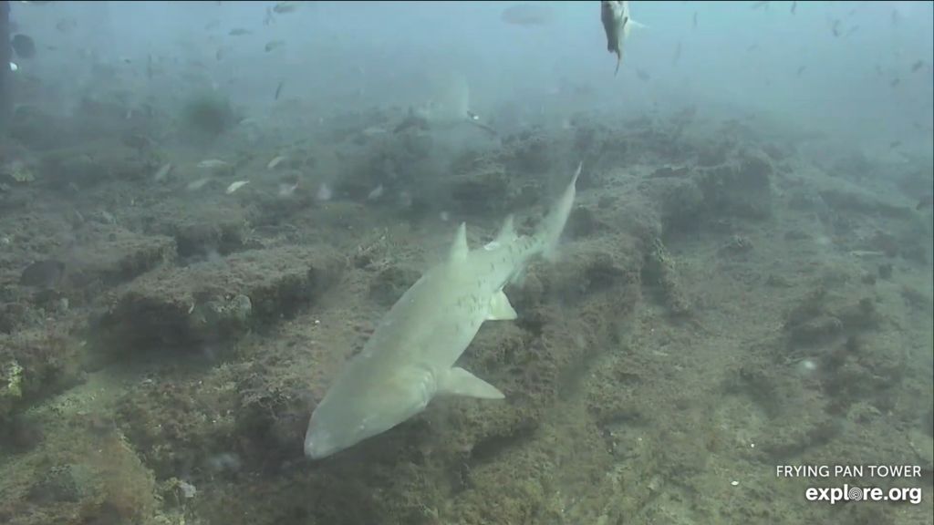 ab9bce05-63fd-449e-8007-874adced34e8