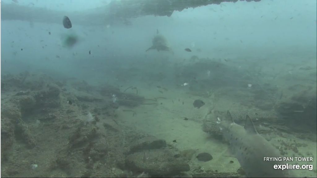 ab9bce05-63fd-449e-8007-874adced34e8