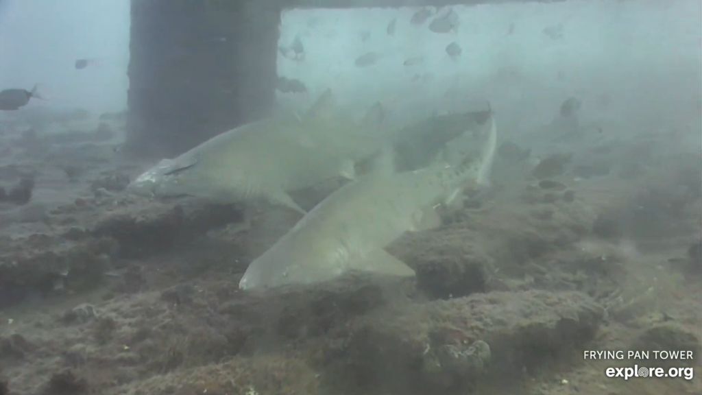 ab9bce05-63fd-449e-8007-874adced34e8