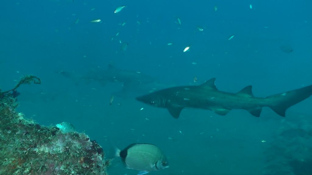 4d292cca-31dd-4ed6-8121-66cf7d63a2be